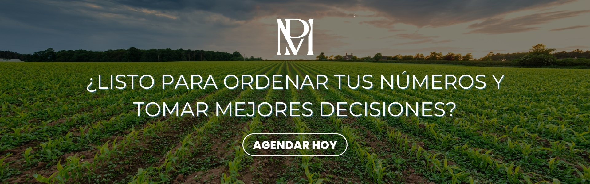 ¿Listo para ordenar tus números y tomar mejores decisiones? - MP Estudio Contable
